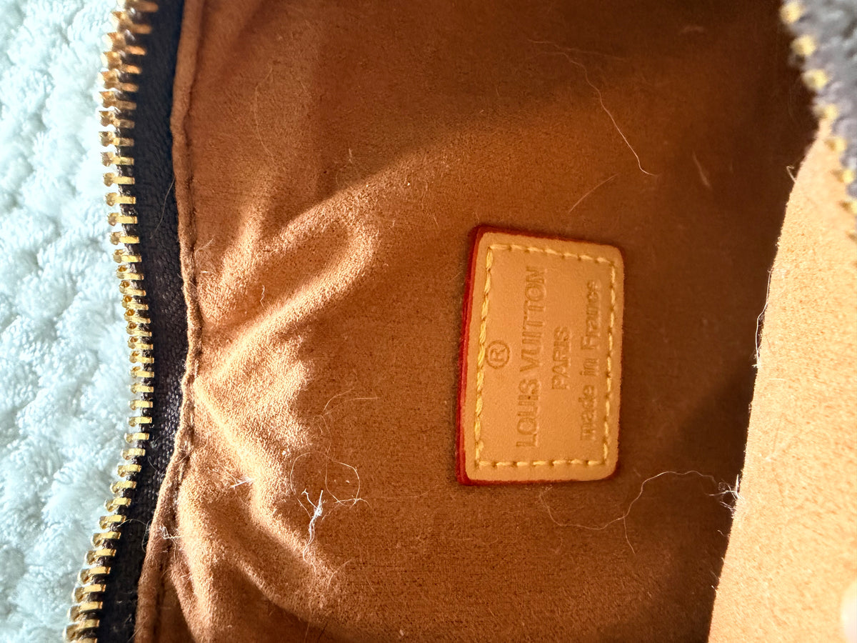 L V Loop Crescent bag