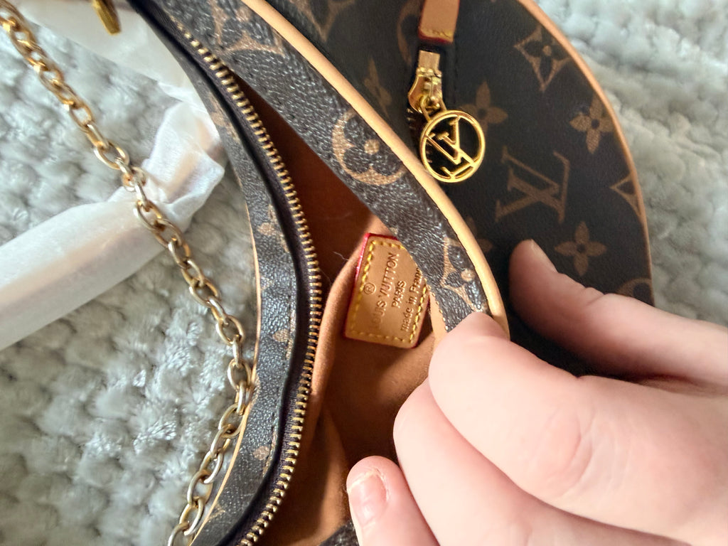 L V Loop Crescent bag